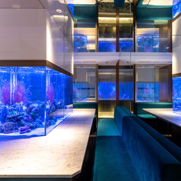 A table with an aquarium