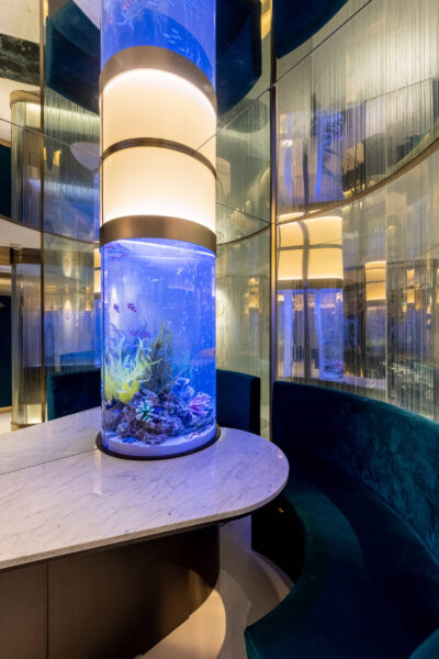 Restaurant Design - The Grand Blue Express - Aquarium closeup